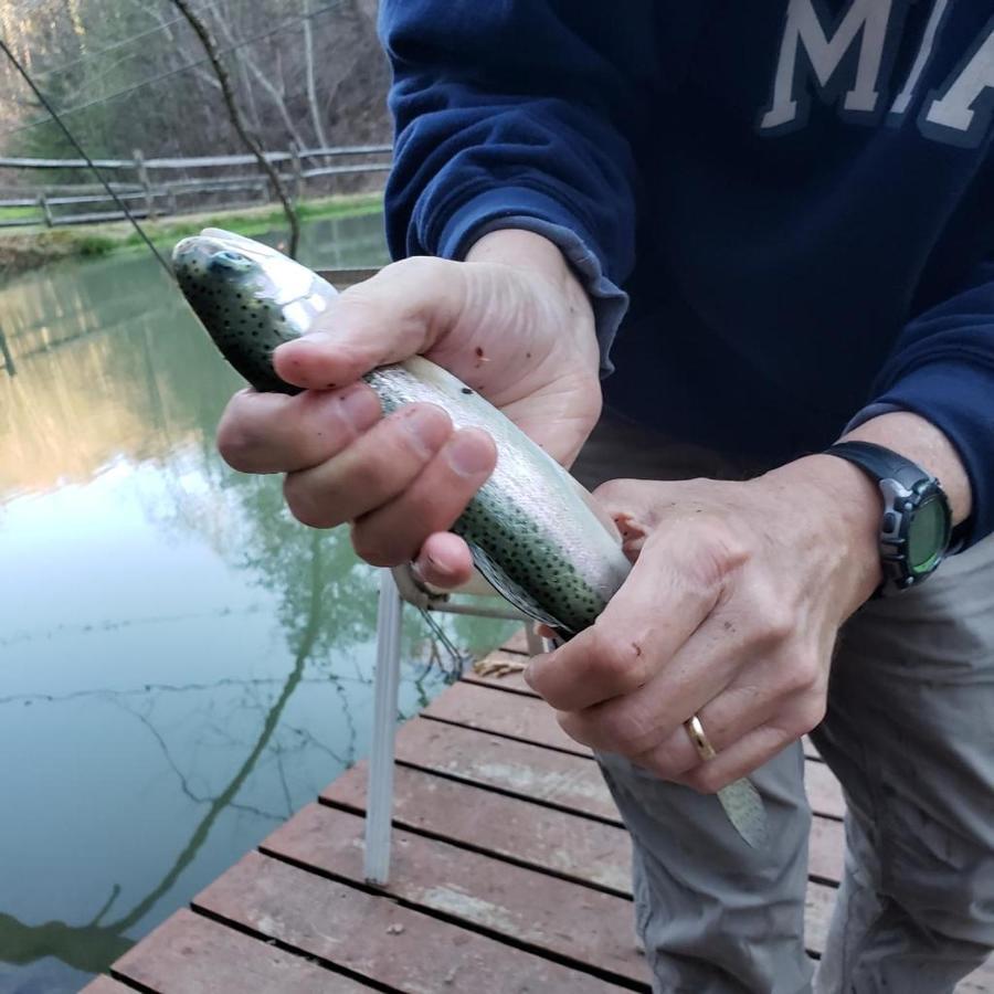 The Fishing Hole Cabin - Sage Vacations Gatlinburg Luaran gambar