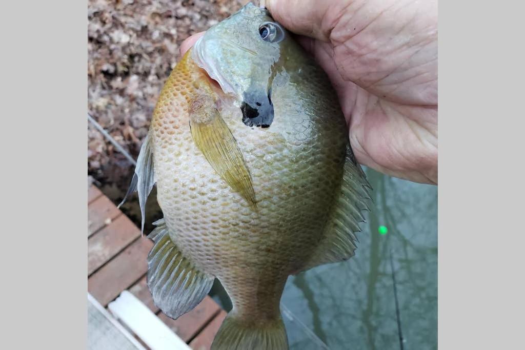 The Fishing Hole Cabin - Sage Vacations Gatlinburg Luaran gambar